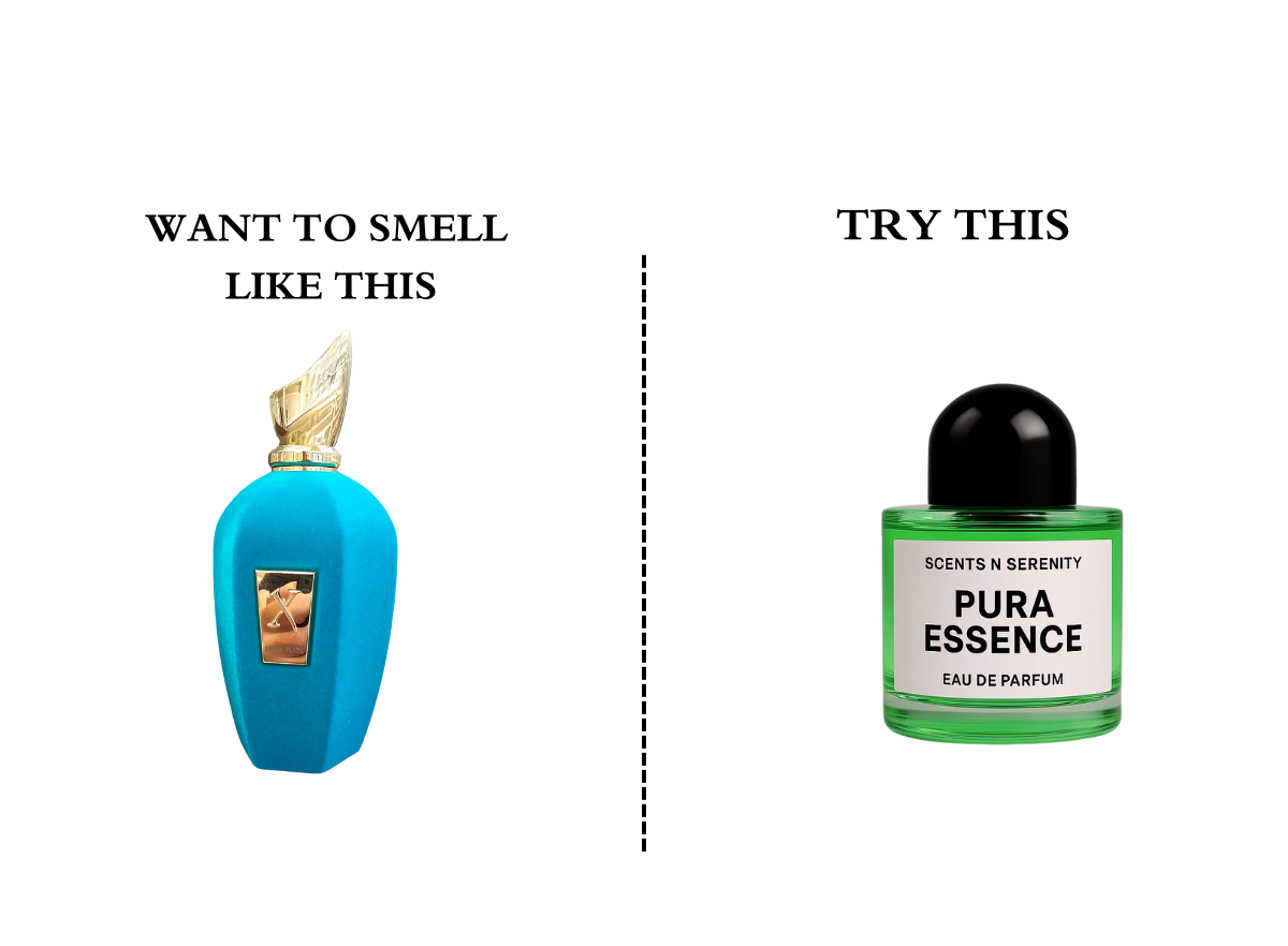 ✨ Pura Essence – Inspired by Erba Pura 🍊🌸