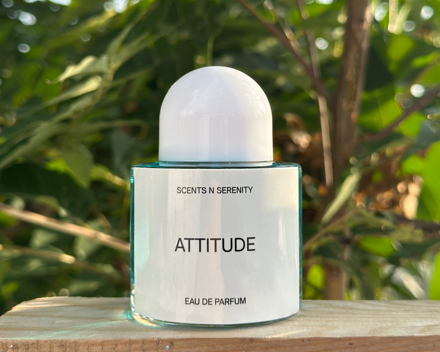 🔥 Attitude – Inspired by Dior Sauvage 💎