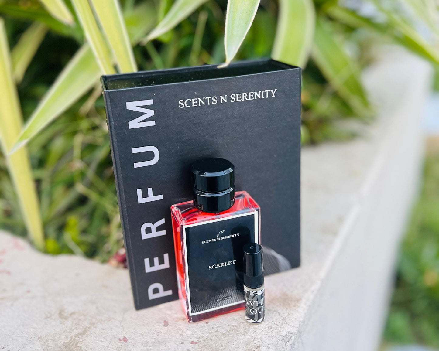 💫 Scarlet | BR 540 Inspired | Long Lasting