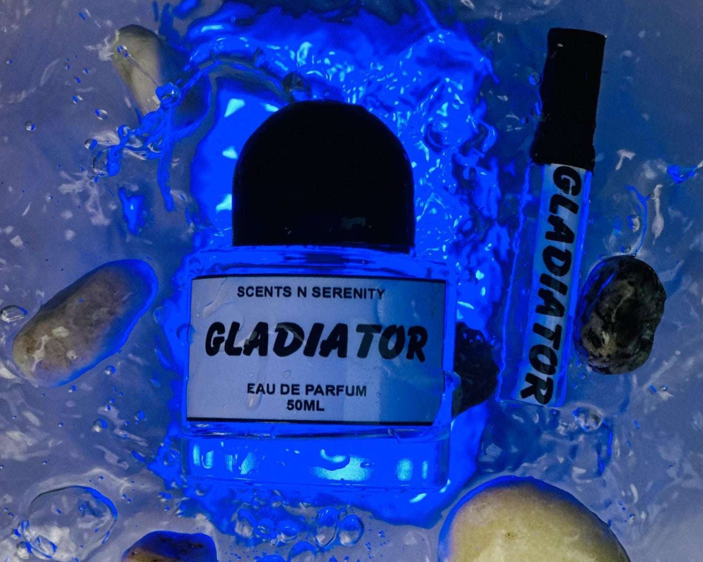 GLADIATOR | IMPRESSION OF INVICTUS BY PACO RABANE
